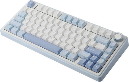Morgens aula f75 keyboard